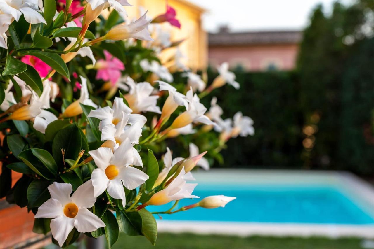 Albergo Ristorante Il Terziere トレビ エクステリア 写真